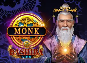 ZTR_BashibaLinkMonk@2x